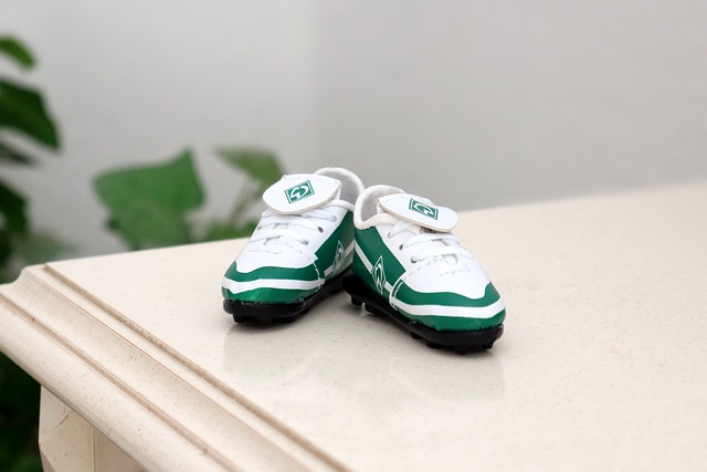 阿森纳全队 阿森纳全队