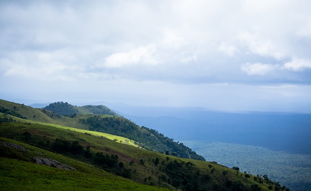 的创造力 的创造力