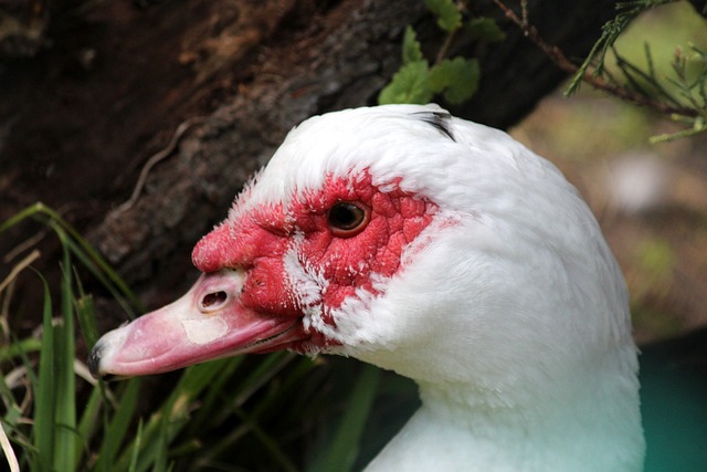 况下积累了 况下积累了