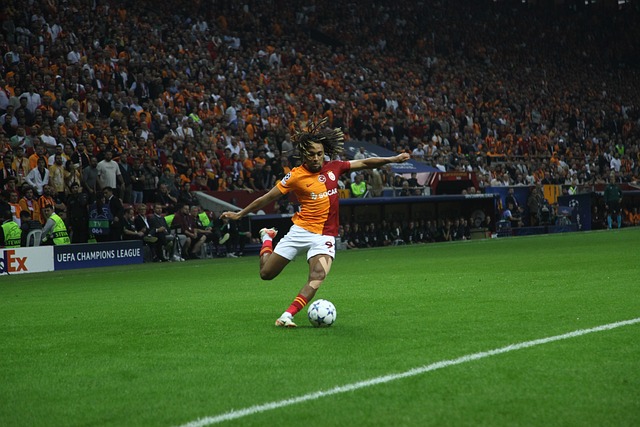 壁球未来的 壁球未来的