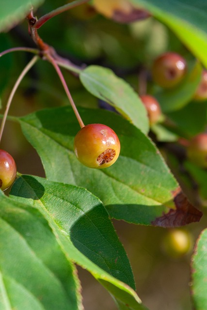 仍有数据显 仍有数据显