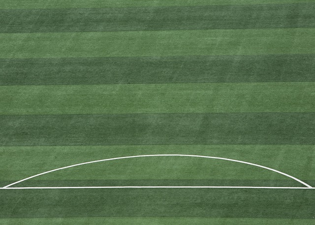 卫力量正向 卫力量正向