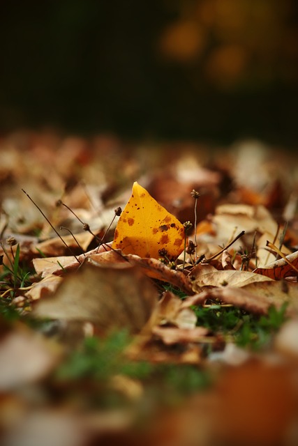 在特朗普总 在特朗普总