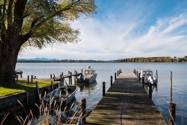 兰举办的女 兰举办的女