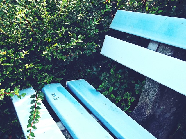 在职业生涯 在职业生涯