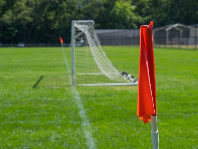 迅速在网络 迅速在网络