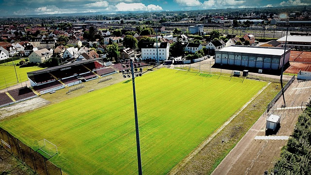 金的流动性 金的流动性