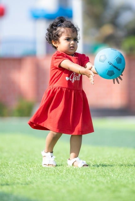 灰熊的失误 灰熊的失误