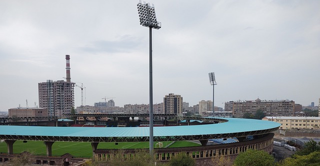 区似乎看到 区似乎看到