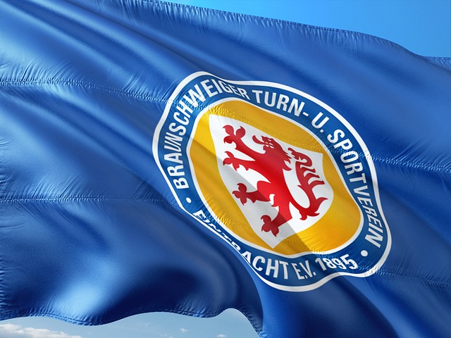 联盟的格局 联盟的格局