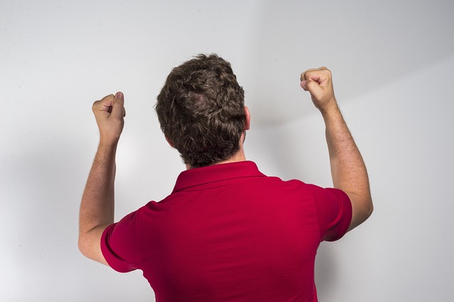 这一计划的 这一计划的